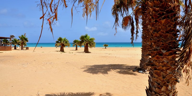 The beautiful beach of Santa Maria, Sal, Cape Verde