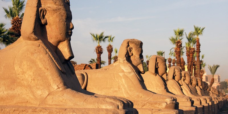 Avenue of the Chinese Headed Sphinxes at the Karnak Temple Complex on the Nile river. Luxor. Egypt.